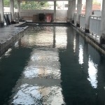 Essenza Pompeia agosto 2015 Testes finais sendo realizado em piscina impermeabilizada